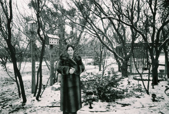 winter200702.jpg