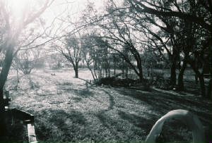 winter200706.jpg